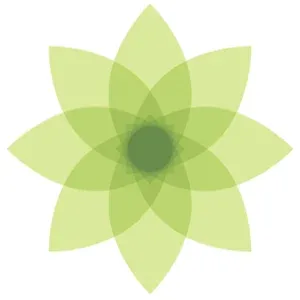 Moment app icon